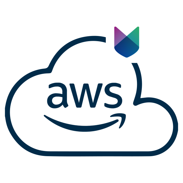 cloud_aws